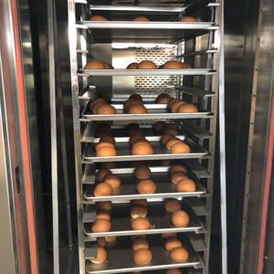 Nuevo Horno Rotatorio para Panaderí<span class=keywords><strong>a</strong></span> Casero/Pequeño/Mediano - Product Image 6
