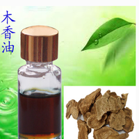 Extrait d'herbe traditionnelle chinoise Radix Aucklandia, huile essentielle de racine de Costus, huile de Costus pure