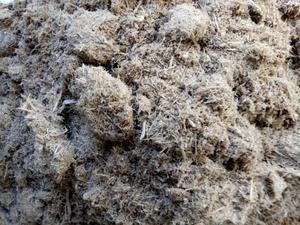 {HOT 2024} -Exportación de bagazo fermentado como materia prima para la alimentación animal Residuos agrícolas de Vietnam a un precio asequible - Product Image 3