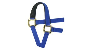 Controlador de alta resistencia PP horse halter, venta al por mayor - Product Image 4