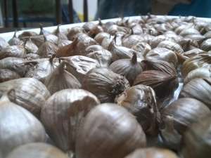 Ail noir simple pelé-Ail solo de fermentation - Product Image 4