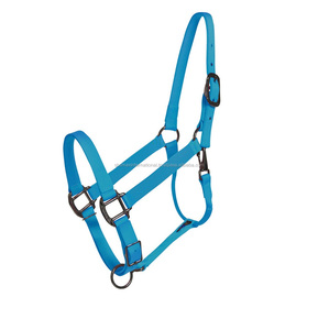 Shemax 2023 Top Qualité Vente Chaude Équitation Équestre Personnalisé En Gros Turquoise Cheval Nylon Halter - Product Image 1
