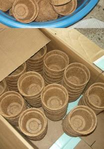 POTS en fibres de COCO de haute qualité, 5 pièces, POTS en COCO de haute qualité, m. Lava + 84 91 850 9071 - Product Image 5