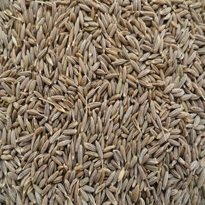 Nouvelle Récolte de Piment de la Jamaïque Séché de Qualité Supérieure, Séché par AD et Cuit au Four, pour Assaisonnements et Mélanges d'Épices en Vrac - Product Image 4
