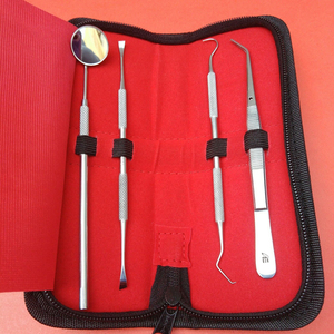 Kit d'outils d'hygiène dentaire professionnels 2026 – 4 pièces en acier inoxydable, détartreur manuel, grattoir, équipement de nettoyage et de restauration dentaire - Product Image 2