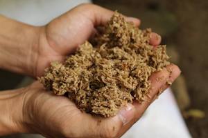 GRANOS DE CERVEZA SECOS/RESIDUOS DE CERVEZA - Product Image 4