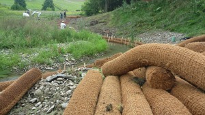 Troncos de fibra de coco/BioCoir - Product Image 6