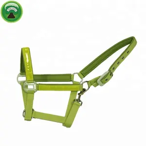 Waterproof Reflective Horse rope halter All Colors Available \ Horse cow halter