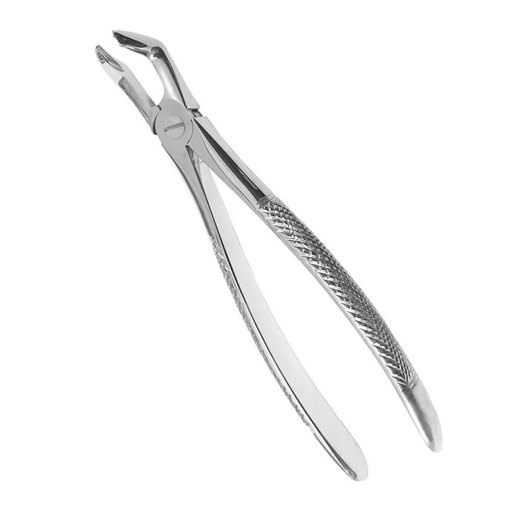 Dental Extraction Forceps English Pattern Made of Steeliness Steel For Teeth Dental Equipment Dental Extracting Instrument