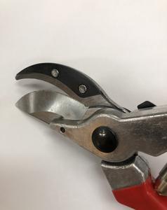 Garden <b>Pruning</b> Shears - Product Image 4