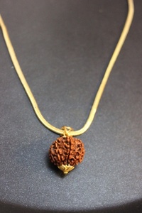 gold rudraksha pendant, gold rudraksha 