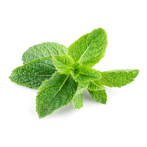Aceite de menta 100% puro (Mentha Arvensis) certificado por GMP, destilado al vapor, de alta calidad, aroma para uso oral y cutáneo, reafirmante y blanqueador. - Product Image 4
