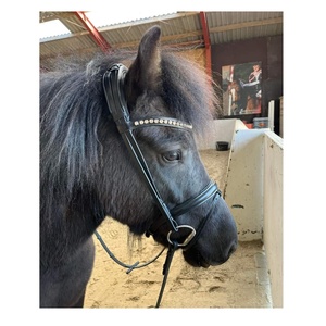 Bridons légers pour l'équitation, en cuir noir islandais, avec rembourrage doux, or rose, Rub International - Product Image 1
