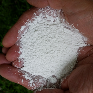 Cal Agrícola de Alta Pureza para Neutralizar la Acidez del Suelo - Product Image 6