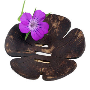 Porte-savon de noix de coco/assiette à savon de noix de coco/plateau à savon logo gratuit conception personnalisée dans Eco2go Vietnam - Product Image 1