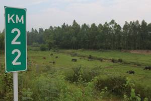 La barandilla de seguridad vial Cable sistema de barrera de Vietnam, la carretera de la autopista de seguridad de transporte - Product Image 4