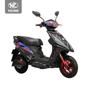EEC Approved 800W1200W Electric Scooters 48V60V Powerful Smart E-Bikes Fast Electric Motorbikes With Racing Electric Motorcycles