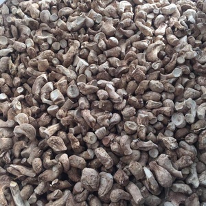 Comida orgánica saludable onlg 1Kg seco secado hongo Shiitake madre/pierna - Product Image 1