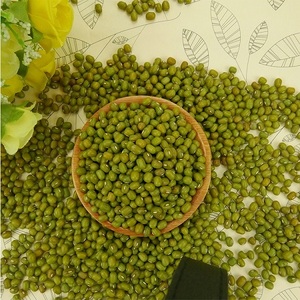 Meilleur prix d'usine Haricots mungo verts frais naturels de qualité A 14% d'humidité Origine Afrique du Sud Grande quantité disponible - Product Image 1