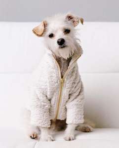 Meilleures ventes de vêtements pour chiens en gros 2021, polyester et coton, couleurs personnalisées - Product Image 2