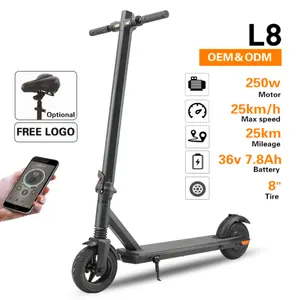 Foldable Adult Electric Scooter 10 Inch Mobility E Motor 250 Watt Electric Scooter