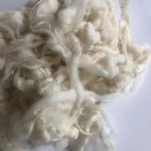 Natural sheep wool/Greasy sheep wool for sale