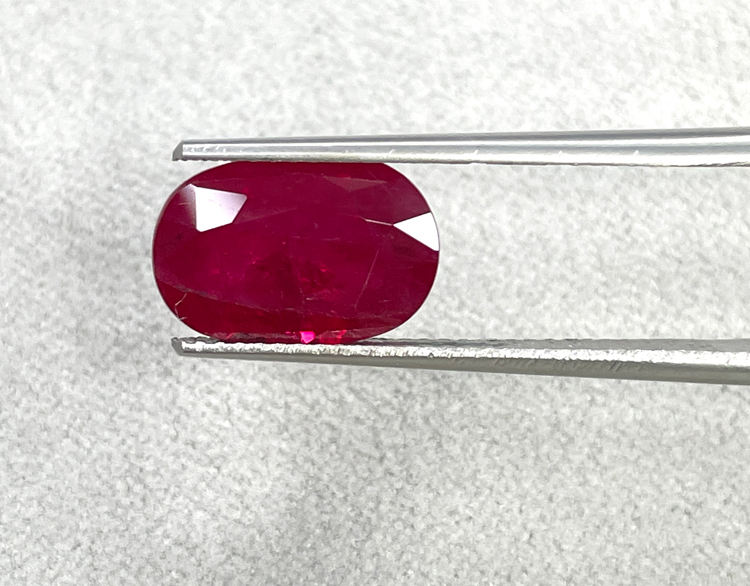 นกพิราบสีแดง