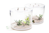 Empire Ants Nids de fourmis écologiques fabriqués en usine, rigoureusement contrôlés, en pierre de gazon, pour l'aménagement paysager naturel extérieur, pour petits animaux AG10