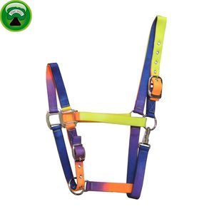 Cale de cheval en PP et nylon personnalisé Halters pour chevaux - Product Image 2