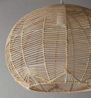 Luminaire suspendu en acier inoxydable classique européen avec abat-jour en rotin tissé, indice de protection IP33, pour salon
