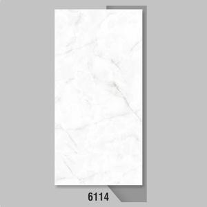 Carrelages de sol aspect marbre plein corps brillant 60x120cm - Product Image 2