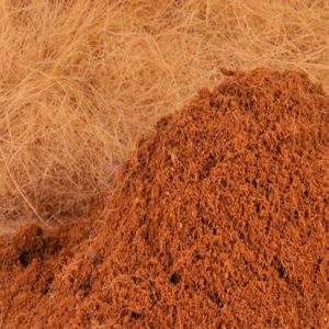 Bloc de matériel de plantation écologique, pièces, pour noix de coco, coquille de noix de coco, pitis compressé ou non compressé, à vendre, prix verouillé - Product Image 6