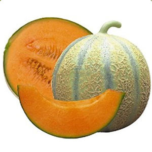 muskmelon