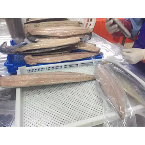 High Quality Frozen Mahi Mahi 90% <strong>Net</strong> Weigh Best Price in Vietnam and Thailand - Product Image 1
