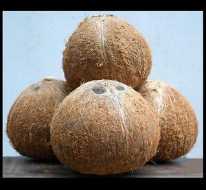 Matures De haute Qualité Noix De Coco du Vietnam/Noix De Coco Séchée (WS + 84339018083) - Product Image 3