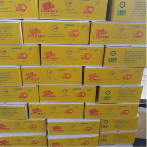 ลิ้นจี่ออร์แกนิกแช่แข็ง เวียดนาม คุณภาพสูง ขายส่งจำนวนมาก - Product Image 5