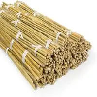 raw bamboo pole cheap price / natural bamboo cane