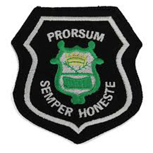 Custom High Quality School Uniform Embroidered 3D Hand Crafted Canvas Lace Fabric Sew-On <b>Badge</b> - Product Image 1