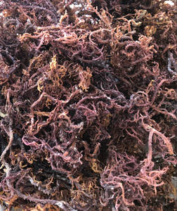 MUSGO DE MAR PÚRPURA/MUSGO DE MAR DE GRACILARIA SECA/IRISMO DE VIETNAM-ALTA CALIDAD - Product Image 3