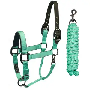 Tùy Chỉnh Da Ngựa Halters Với Đồng Thau Và Thép PVC Webbing Durable Nylon Horse Halter Phần Cứng Buckles Horse Head Collars