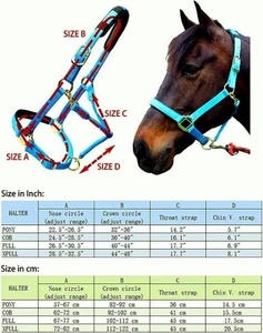 Weaver Horse hermoso Halter de nailon negro personalizado estilo inglés accesorio de brida revestimiento de PVC de fabricación india ajustable en; 34648 - Product Image 2
