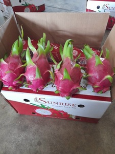 Productos frescos de fruta de dragón rojo/blanco más vendidos de Vietnam directamente de la fuente (David Director Mobile/ WA + 84986778999) - Product Image 2