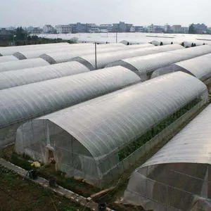 Agriculture Durable HDPE Customized Anti Insect Net Garden Greenhouse Horticulture Plant Protection Cover