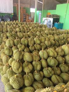 Fruits surgelés de qualité supérieure, fruits Ri6/monstring Durians du Vietnam-whatsapp 0084 989 322 607 - Product Image 5