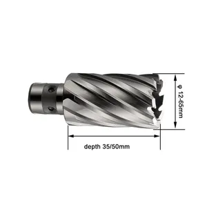 Drill Bits Annular Cutter HSS Annular Cutter Drill Bit With Fein Shank