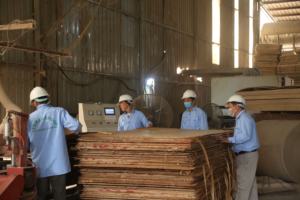 Chapa de melamina de madera contrachapada con película vietnamita de 18mm de alta calidad, mejor precio, construcción moderna, negro/marrón E0 para uso en hoteles - Product Image 6