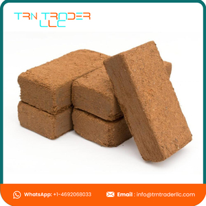 Bloques de Turba de Coco 100% Ecológicos de Alta Calidad y Bajo EC, 5 kg, Certificación ISO, Origen EE. UU. - Product Image 2