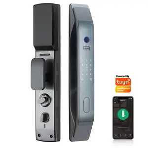 Tuya wifi smart home automatic gate lock keyless security digital fingerprint biometric lock for apartments