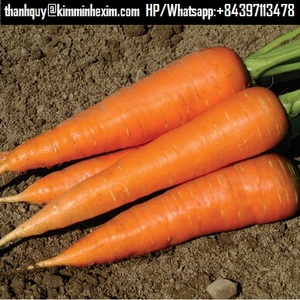 Cà rốt chất lượng tốt với giá cả hợp lý, cà rốt tươi sẵn sàng bán, xuất xứ Việt Nam - Product Image 3