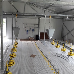 Chi phí thấp mở Side thép gia cầm Gà đổ loại gia cầm trang trại đổ trong Pakistan - Product Image 3